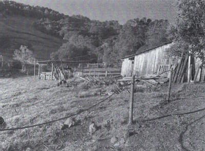 Foto 11 de 17: Area Rural em leilão em Videira - SC — IMÓVEL RURAL COM ÁREA TOTAL DE 40.194,49M2 EM VIDEIRA-SC
