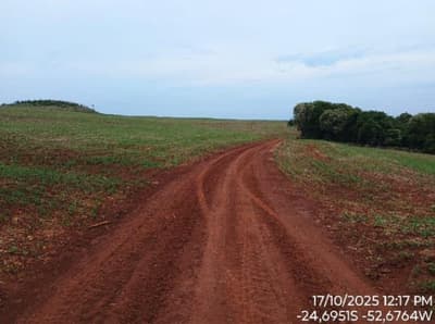 Foto 7 de 8: Area Rural em leilão em Nova Cantu - PR — IMÓVEL RURAL COM ÁREA TOTAL DE 16.96ha- Em NOVA CANTU/PR