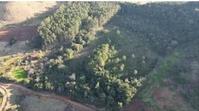 Foto 8 de 9: Area Rural em leilão em Quedas Do Iguaçu - PR, bairro Quedas do Iguaçu — IMÓVEL RURAL COM ÁREA TOTAL DE 10.668500 (hectares) EM QUEDAS DO IGUAÇU-PR