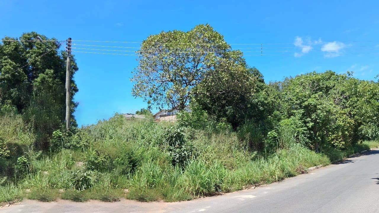 Foto 4 de 6: Terreno em leilão em Minaçu - GO, bairro Vila Residencial de Minaçu — Terreno Urbano 458m² | Vila Residencial de Minaçu - Minaçu/GO |Localização Nobre e Infraestrutura Completa: Ideal para Construção e Investimento!