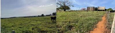 Area Rural em leilão em Zacarias - SP — Imóvel rural com área total de 16.94,00 hectares - Zacarias-SP