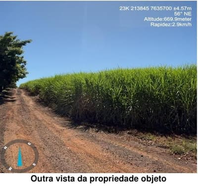 Foto 5 de 8: Area Rural em leilão em Cravinhos - SP — IMOVEL RURAL - SITIO SANTO ANTONIO - localizado a 2,2km da cidade de Cravinhos/ SP