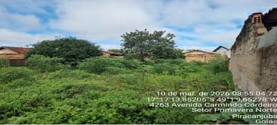 Foto 3 de 4: Terreno em leilão em Piracanjuba - GO, bairro Setor Primavera — TERRENO URBANO | A.T. 245 M² | PIRACANJUBA/GO
