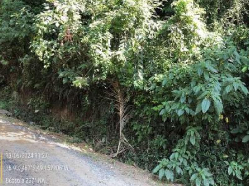 Foto 2 de 11: Terreno em leilão em Blumenau - SC, bairro Passo Manso — Lote, 8708.13 m2, Blumenau / SC