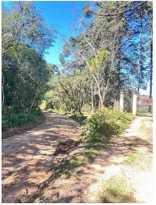 Foto 32 de 35: Area Rural em leilão em São José Dos Pinhais - PR — Sitio com área total de 120.974,16m², localizado Borda do Campo em São José dos Pinhais/PR