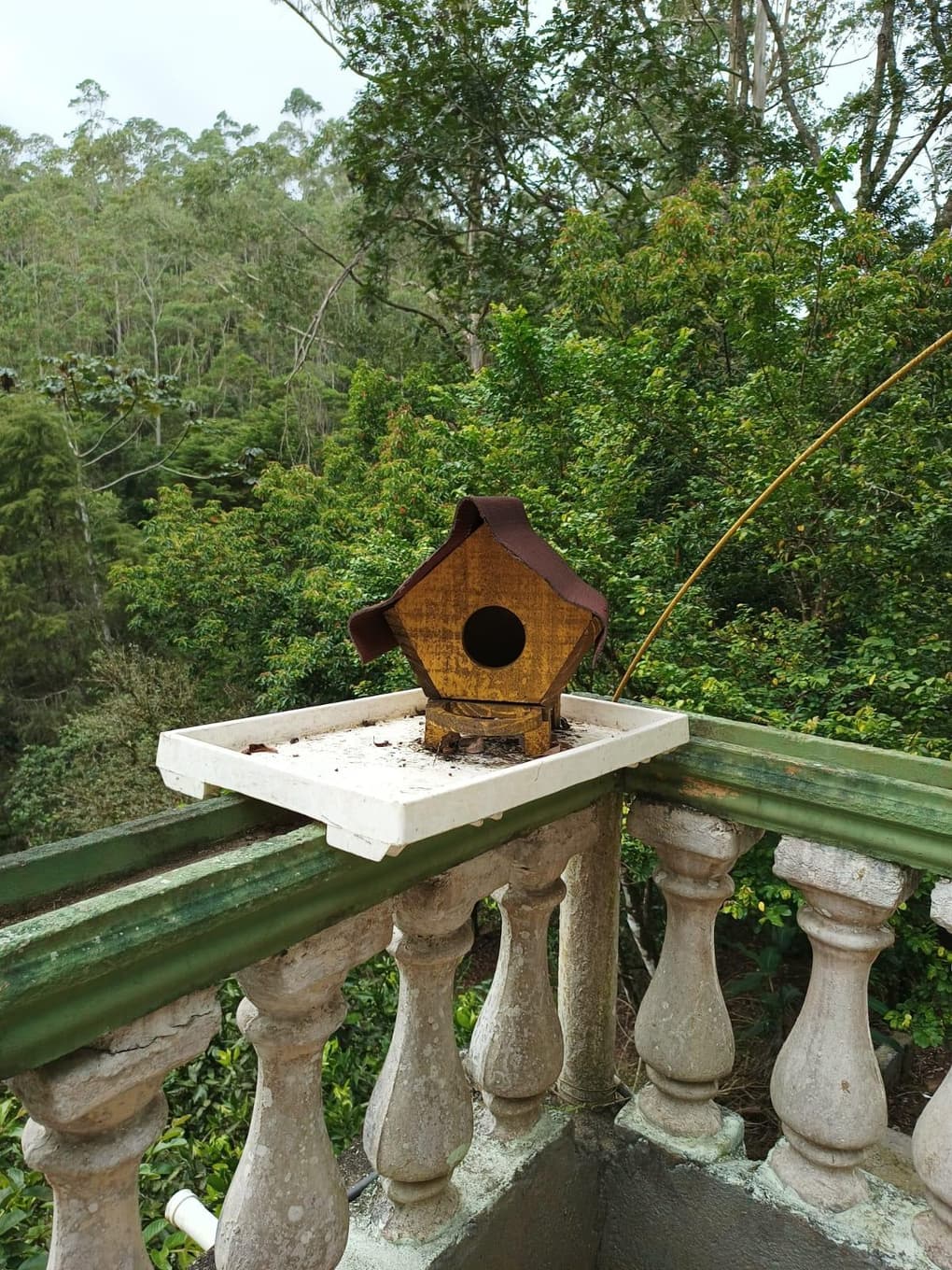 Foto 7 de 15: Casa em leilão em São Lourenço Da Serra - SP — VENDA DIRETA - ACEITANDO PROPOSTAS: CHÁCARA 211m² COM PISCINA E 410 FRUTÍFERAS EM SÃO LOURENÇO DA SERRA