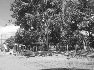 Foto 2 de 2: Terreno em leilão em Cuiabá - MT — Lote 5.049m² | Cuiabá/MT