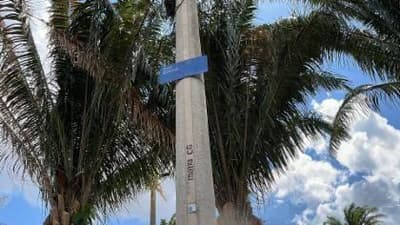 Foto 10 de 12: Apartamento em leilão em Araraquara - SP — Apartamento, Ocupado, Araraquara / SP (50% abaixo da avaliação)