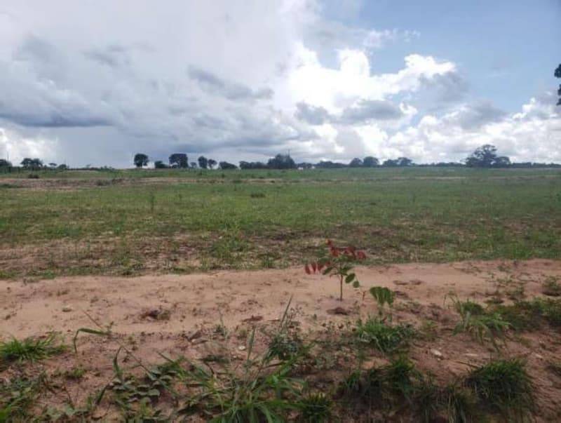 Foto 11 de 11: Area Rural em leilão em Guiratinga - MT — FAZENDA MATO GROSSO 615 HECTARES