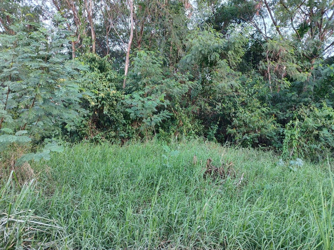 Foto 2 de 3: Terreno em leilão em Foz Do Iguaçu - PR — Terreno com área de 1.016,84m² em Foz do Iguaçu