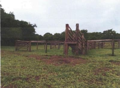 Foto 5 de 9: Area Rural em leilão em Bela Vista De Goiás - GO — IMÓVEIS RURAIS- VENDA CONJUNTA DE DUAS MATRICULAS- Em GOIAS/GO