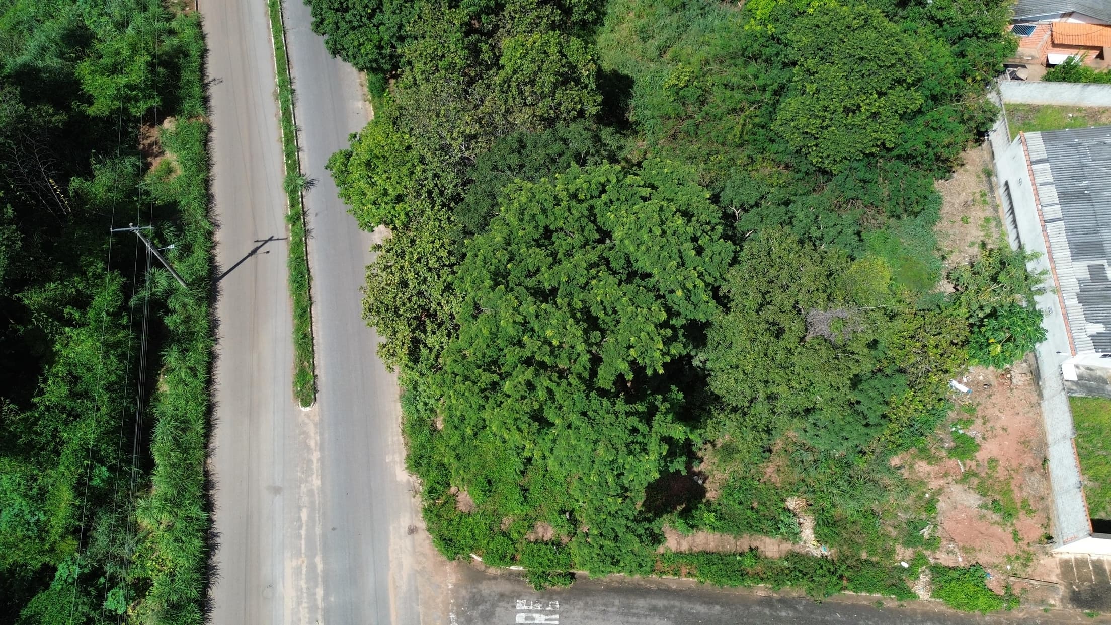 Foto 5 de 7: Terreno em leilão em Minaçu - GO, bairro Vila Residencial de Minaçu — Terreno Urbano 727m² | Vila Residencial de Minaçu - Minaçu/GO |Localização Nobre e Infraestrutura Completa: Ideal para Construção e Investimento!