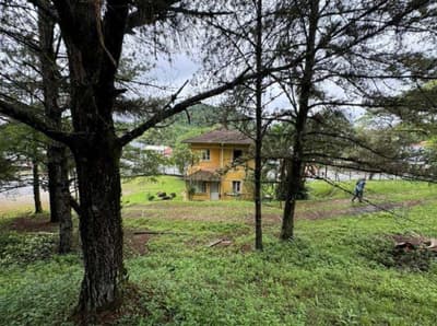 Foto 28 de 53: Terreno em leilão em Blumenau - SC — Terreno com área de 8.958m², bairro Salto Weissbach, Blumenau/SC