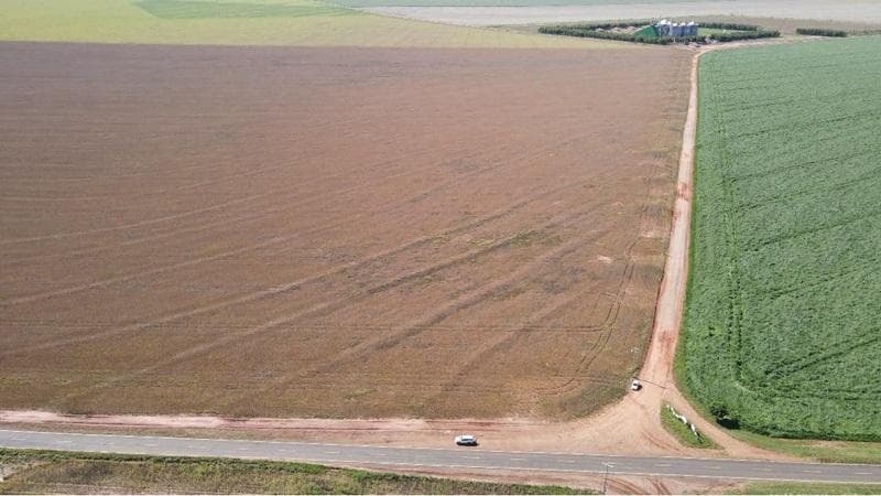 Foto 12 de 30: Area Rural em leilão em Paraíso Das Águas - MS — IMÓVEL RURAL | 400 HA (FRAÇÃO IDEAL) - FAZ. LOTE BAÚS PERDIDO I SECÇÃO B | PLANTIO PARA SOJA E MILHO | PARAÍSO DAS ÁGUAS/MS
