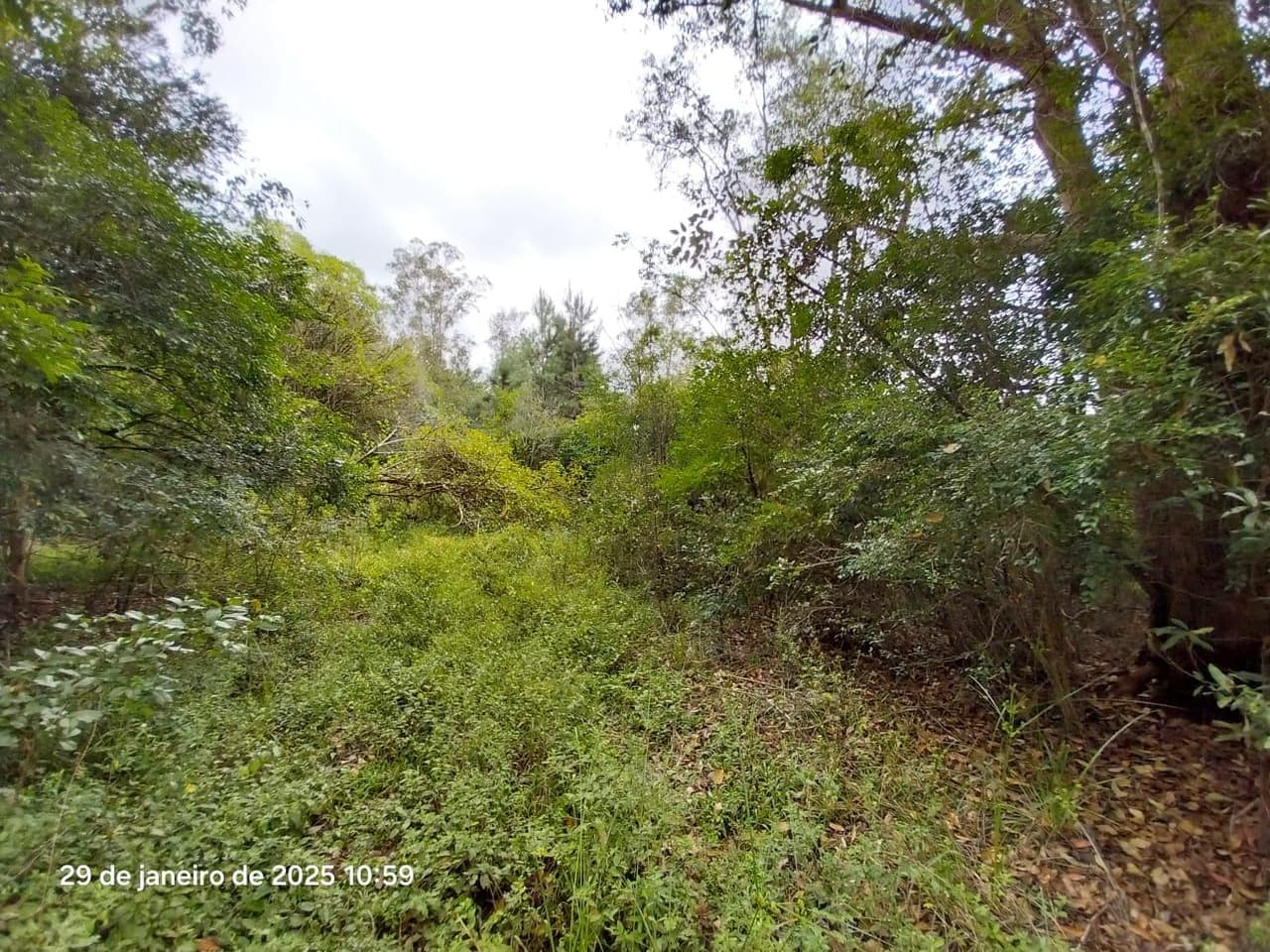 Foto 14 de 16: Terreno em leilão em Ponta Grossa - PR, bairro Colônia Dona Luiza — Terreno urbano, com área de terreno total de 10.260,00m², Ponta Grossa/PR