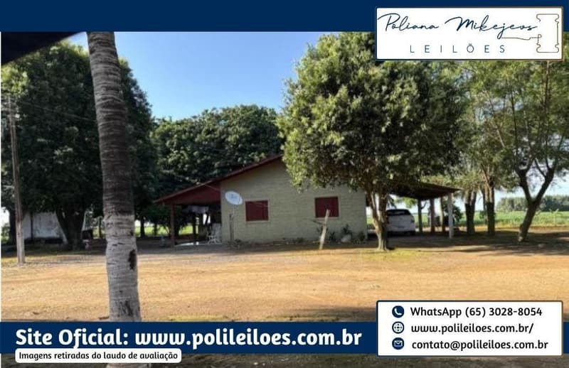Foto 3 de 14: Area Rural em leilão em Sorriso - MT — Área Rural, Fração Ideal 181,5ha, AT. 363ha, denominada Dal Bosco, Fazenda Rondinha I, Lote Primavera, em Sorriso/MT