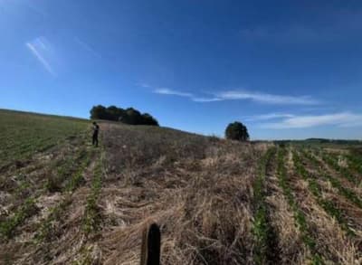 Foto 2 de 6: Area Rural em leilão em São José Das Missões - RS — IMÓVEL RURAL COM ÁREA DE 33.116,81M2 EM SÃO JOSÉ DAS MISSÕES -RS