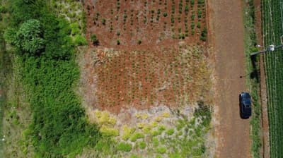 Foto 2 de 2: Terreno em leilão em São Jorge D'oeste - PR — TERRENO URBANO SEM BENFEITORIAS COM ÁREA DE 240,00m2 - SÃO JORGE DO OESTE/PR