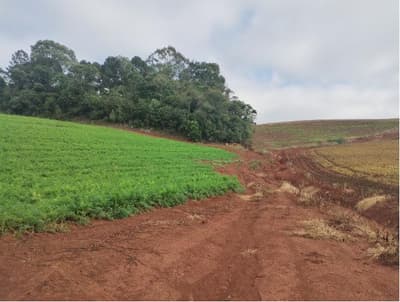 Foto 2 de 7: Terreno em leilão em Frei Rogério - SC — IMÓVEL RURAL COM ÁREA TOTAL DE 5,3285450 HA - FREI ROGERIO/SC