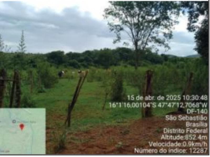 Foto 8 de 8: Area Rural em leilão em Brasília - DF — Area, 2.02 ha, Brasilia / DF