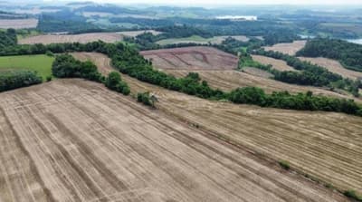 Foto 4 de 10: Area Rural em leilão em Nova Prata Do Iguaçu - PR — IMÓVEL RURAL COM ÁREA DE 121.000 m2- Em NOVA PRATA DO IGUAÇU
