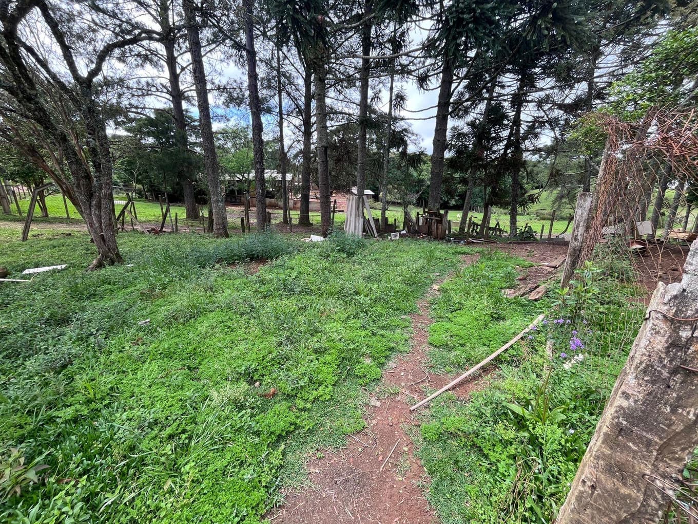 Foto 5 de 9: Terreno em leilão em Guarapuava - PR, bairro Morro Alto — TERRENO RURAL MEDINDO 6.050,00M² COM UM BARRACÃO - GUARAPUAVA-PR
