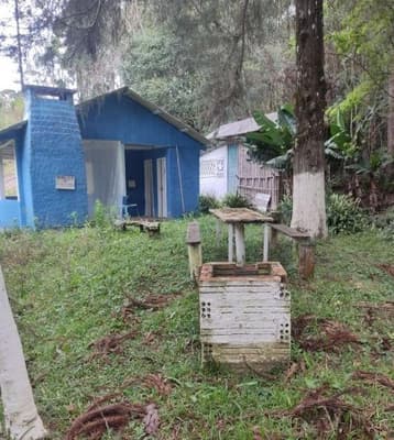 Foto 4 de 26: Area Rural em leilão em São João Do Triunfo - PR — IMÓVEL RURAL COM EXTENSÃO URBANA - ÁREA TOTAL DE 60.726,43 m²-AVENIDA DAS ARAUCÁRIAS-LADEIRA- SÃO JOÃO DO TRIUNFO-PR