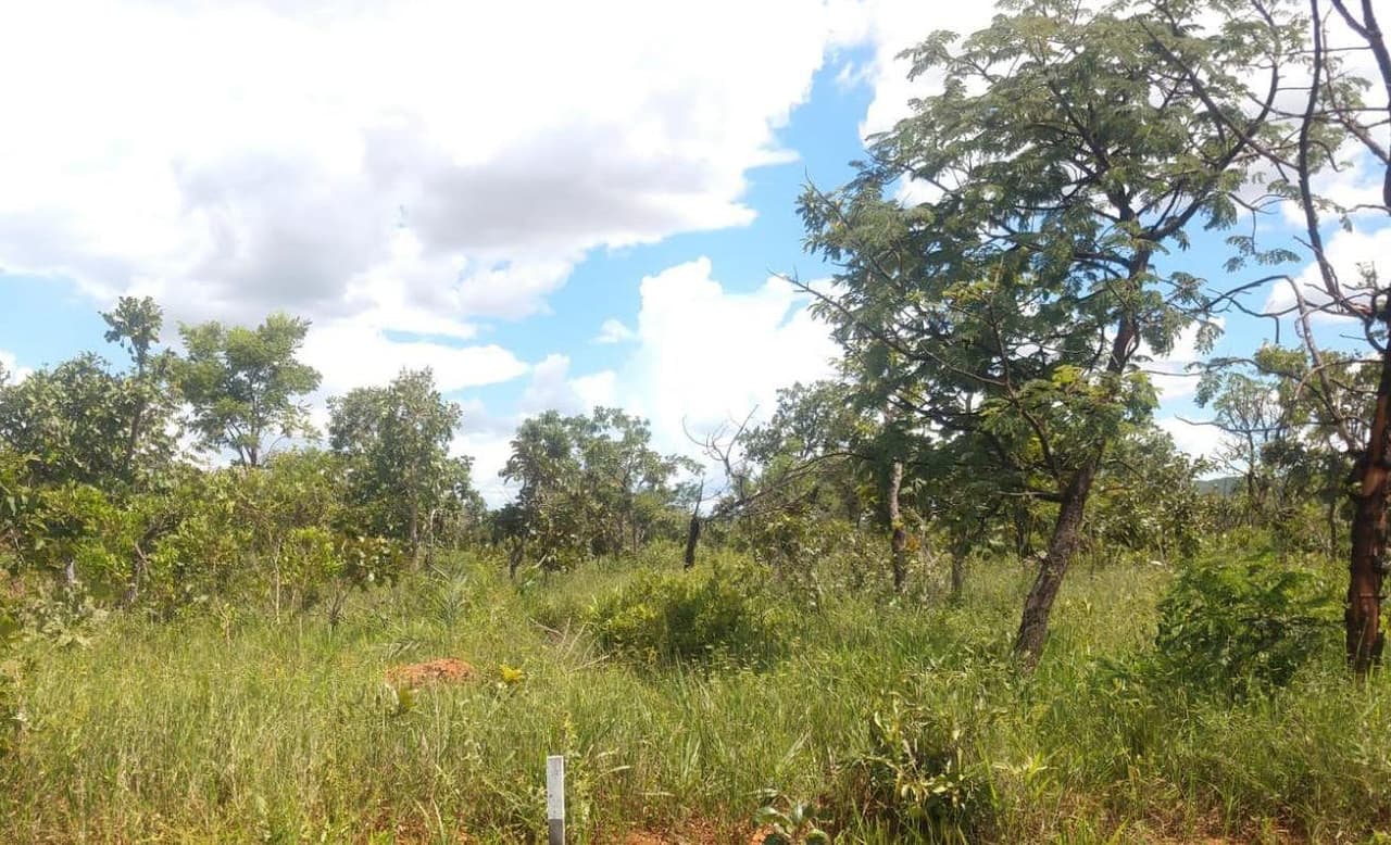 Foto 2 de 2: Terreno em leilão em Caldas Novas - GO — TERRENO DENOMINADO ÁREA 4-H, COM 880,00M², SITUADO NO LUGAR DENOMINADO MULTIFORMA H, CALDAS NOVAS GO
