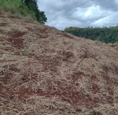 Foto 2 de 8: Area Rural em leilão em Anchieta - SC — Lote Rural 72.600m² Desocupado em Anchieta/SC