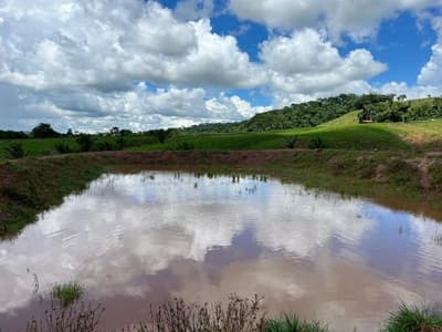 Foto 1 de 10: Area Rural em leilão em Alta Floresta D'oeste - RO — IMÓVEL RURAL | A.T. 49,79 HA | ALTA FLORESTA DOESTE/RO