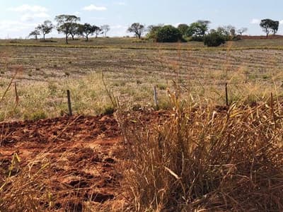 Foto 6 de 8: Area Rural em leilão em Luz - MG — Área em Luz/MG.