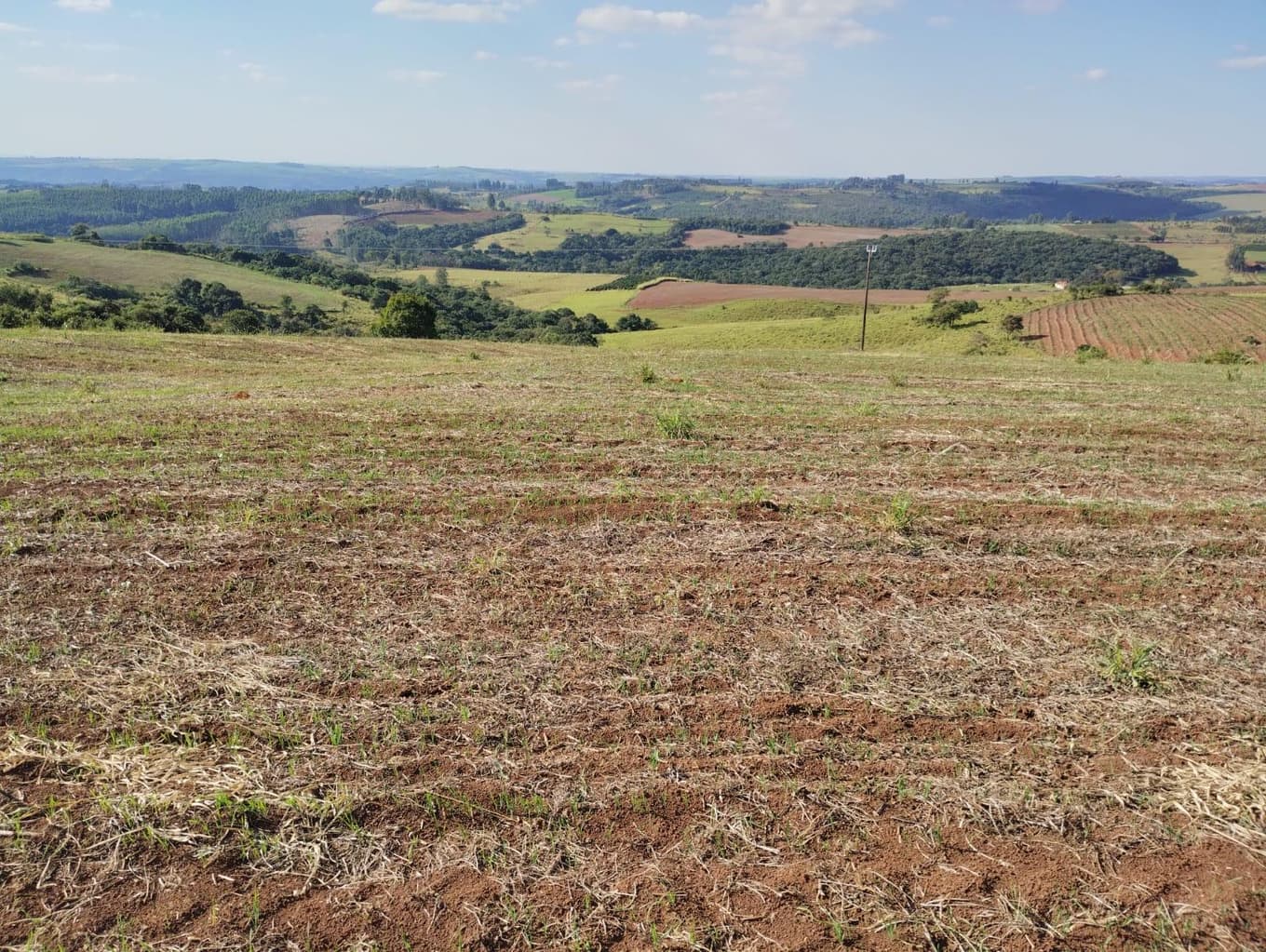 Foto 12 de 24: Area Rural em leilão em São Jerônimo Da Serra - PR — Área rural com área de 35,53 hectares - São Jerônimo da Serra/PR.