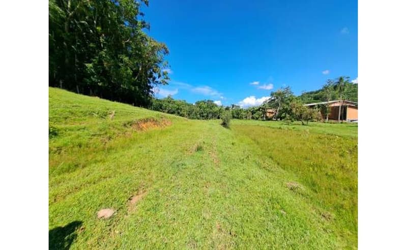 Foto 17 de 64: Terreno em leilão em Blumenau - SC — Um imóvel com área total de 102.114,74m² em Blumenau/SC