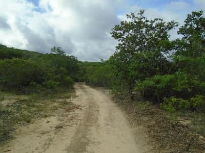 Foto 3 de 4: Terreno em leilão em Cristália - MG — Terreno Rural 60,7798ha em Cristália/MG - Desocupado
