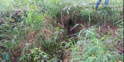 Foto 13 de 14: Area Rural em leilão em Uruaçu - GO — IMÓVEL RURAL | A.T. 58,6288HA FAZ. SANTANA/MACHAMBOMBO OU PASSA-TRÊS (CULTURA DE SOJA) | URUAÇU/GO
