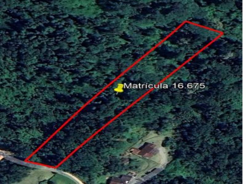 Foto 8 de 11: Terreno em leilão em Blumenau - SC, bairro Passo Manso — Lote, 8708.13 m2, Blumenau / SC