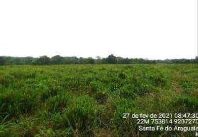 Foto 4 de 8: Area Rural em leilão em Santa Fé Do Araguaia - TO — IMÓVEL RURAL - 247,5897HA, LOT. "RIOS LONTA E ANDORINHA 5ª ETAPA EM SANTA FÉ DO ARAGUAIA/TO