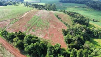 Foto 8 de 9: Area Rural em leilão em Nova Prata Do Iguaçu - PR — IMÓVEL RURAL COM ÁREA TOTAL DE 20.000,00 m² - NOVA PRATA DO IGUAÇU/PR