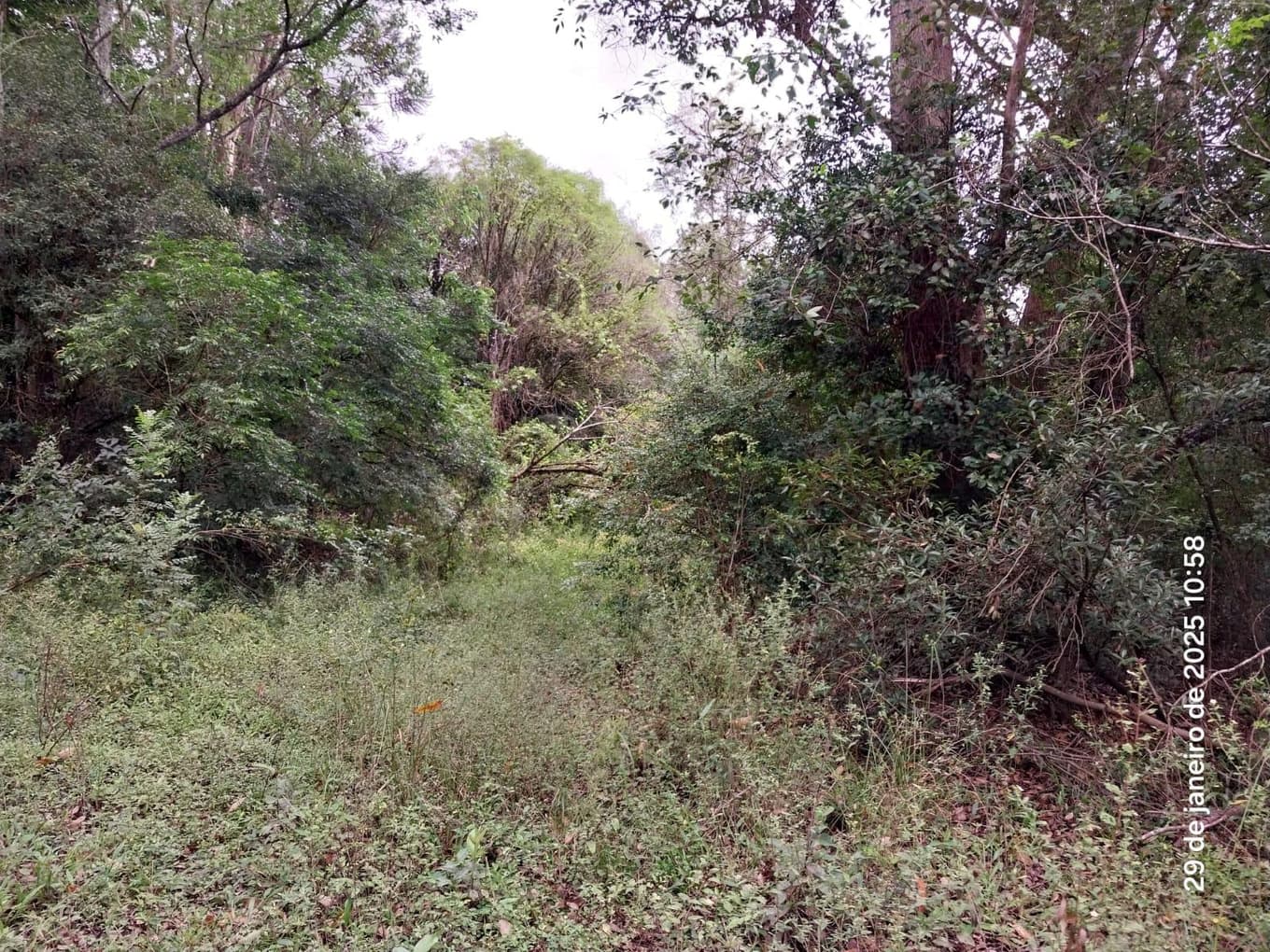 Foto 13 de 16: Terreno em leilão em Ponta Grossa - PR, bairro Colônia Dona Luiza — Terreno urbano, com área de terreno total de 10.260,00m², Ponta Grossa/PR