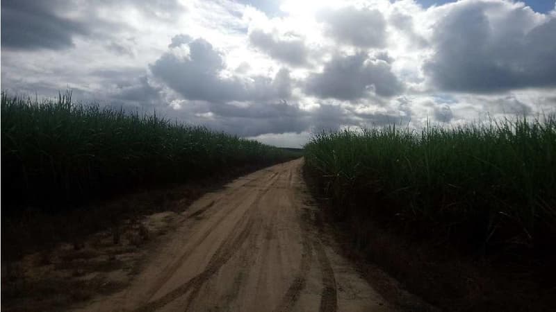 Area Rural em leilão em Pedro Canário - ES — Imóvel rural, A.T. 4.107.028m²