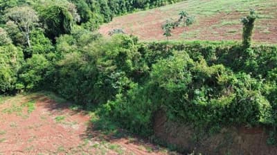 Foto 3 de 9: Area Rural em leilão em Nova Prata Do Iguaçu - PR — IMÓVEL RURAL COM ÁREA TOTAL DE 20.000,00 m² - NOVA PRATA DO IGUAÇU/PR