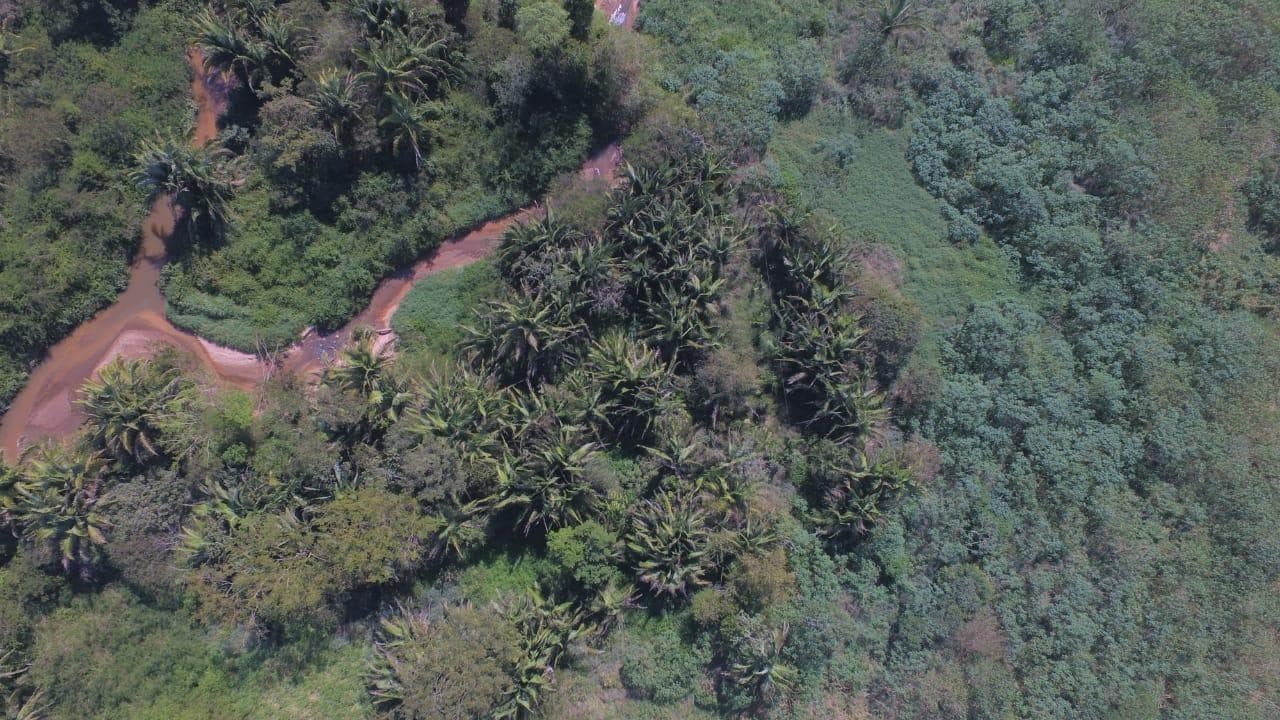 Foto 6 de 8: Terreno em leilão em Xinguara - PA, bairro Gavea Sul — Terreno de 81.373m², à margem esquerda da Br-155, Km 2,5, sentido Xinguara/Rio Maria, Xinguara-PA - Gavea Sul