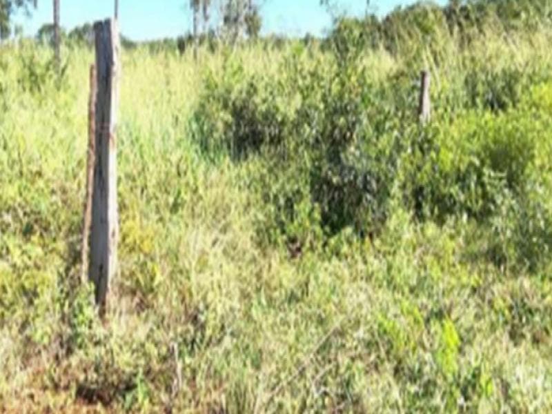 Foto 3 de 3: Area Rural em leilão em Estreito - MA — Area, 84.55 ha, Estreito / MA