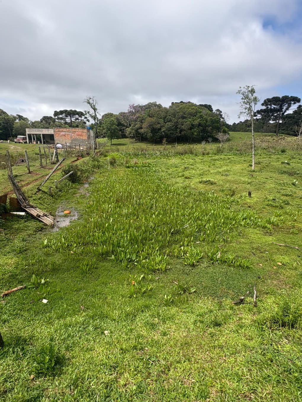 Foto 7 de 9: Terreno em leilão em Guarapuava - PR, bairro Morro Alto — TERRENO RURAL MEDINDO 6.050,00M² COM UM BARRACÃO - GUARAPUAVA-PR