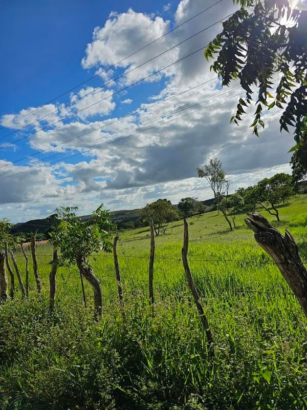 Foto 6 de 10: Area Rural em leilão em Cícero Dantas - BA — IMÓVEL RURAL Em CÍCERO DANTAS/BA