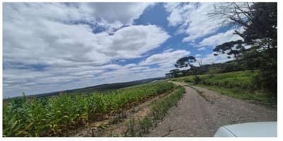Foto 4 de 4: Area Rural em leilão em São João Do Triunfo - PR — Terreno rural com área de 238.216,113m², situado na Localidade de Pinhalzinho, São João do Triunfo/PR