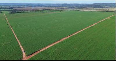 Foto 5 de 9: Area Rural em leilão em Sidrolândia - MS — IMÓVEL RURAL| 159HA FAZENDA MARACANÃ| SIDROLÂNDIA MS - LEILÃO EMPRESARIAL SISTÊMICO SICREDI