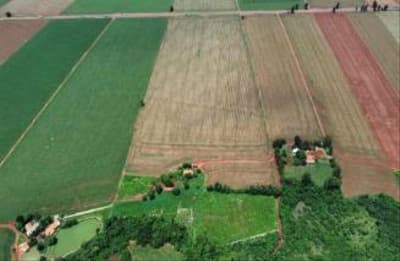 Foto 2 de 13: Area Rural em leilão em Maripá - PR — IMÓVEIS RURAIS EM MARIPÁ-PR