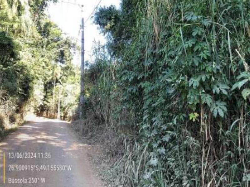 Foto 11 de 11: Terreno em leilão em Blumenau - SC, bairro Passo Manso — Lote, 8708.13 m2, Blumenau / SC