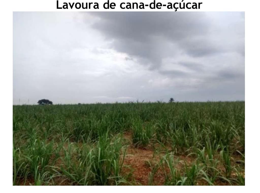 Foto 3 de 6: Area Rural em leilão em Araras - SP — PROPRIEDADE RURAL COM 5,07 ALQUEIRES PAULISTAS - ARARAS/SP